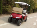 Carrello da golf e sistema di sospensione indipendente