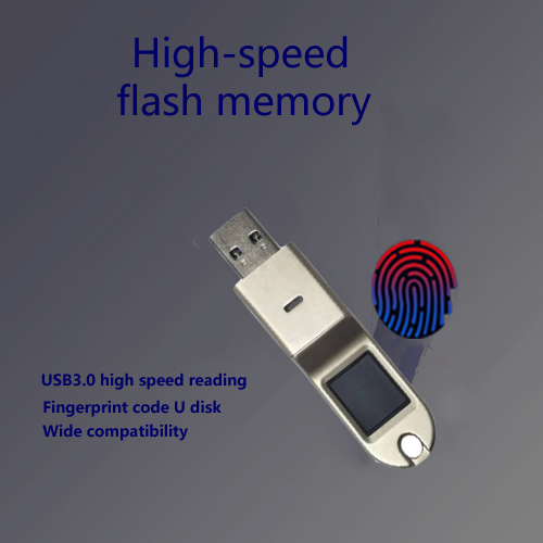 Verschlüsselte Fingerabdruck-U-Diskette