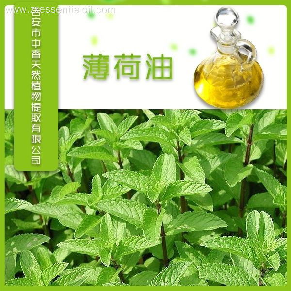 100% pure natural organic peppermint essential oil