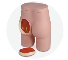 Buttock Injection Model with Anatomical Structure