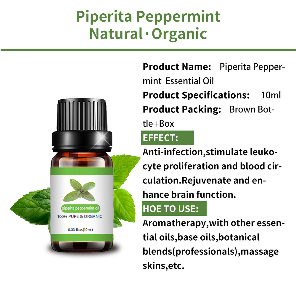 เครื่องกระจายน้ำมัน Piperita Piperita Peppermint