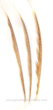 Wholesale Carnival Natural Pheasant Feather
