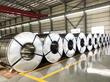 Regular Regular spangle GI