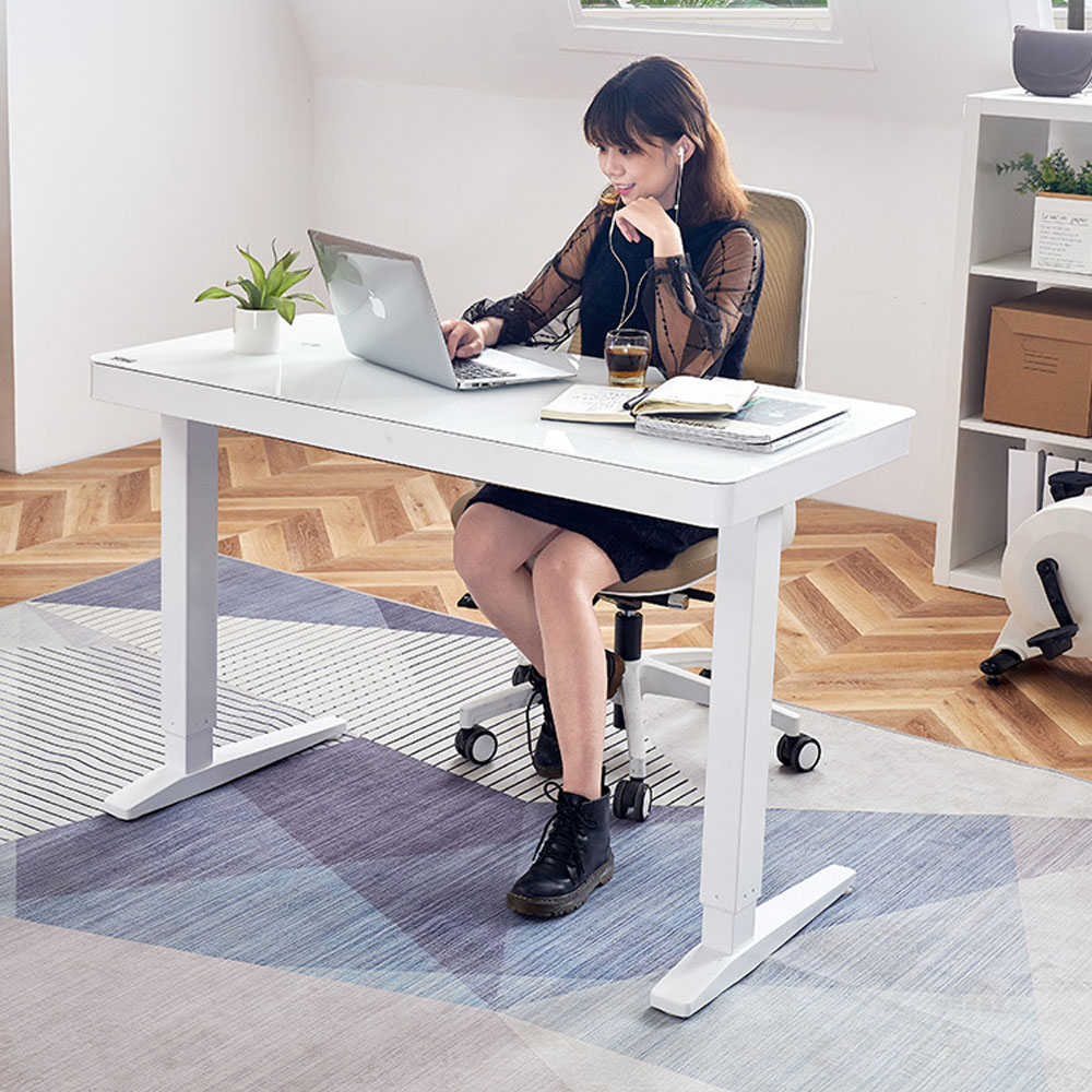 Electric Adjustable Desk Frame