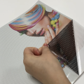 Digital Printing Vinyl Film one way vision