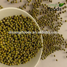 All Various Green Beans with different sizes