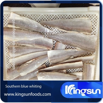 Fresh Frozen South Blue Whiting Fillet HIGH QUALITY