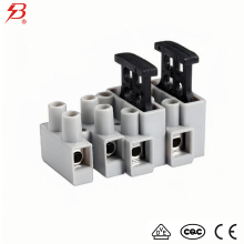2 fused holders mounting terminal blocks