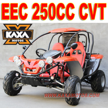 EEC 250cc dune buggy