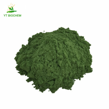 Vegan organic celery juice extract powder celery powder