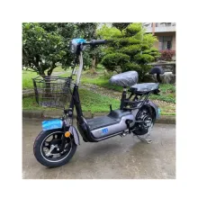 China Factory Supply Low Price Electric Bikes and E-Vehicles with Lead Acid Battery