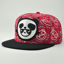 cool custom 6 panel snapback cap/acrylic custom 3d snapback caps