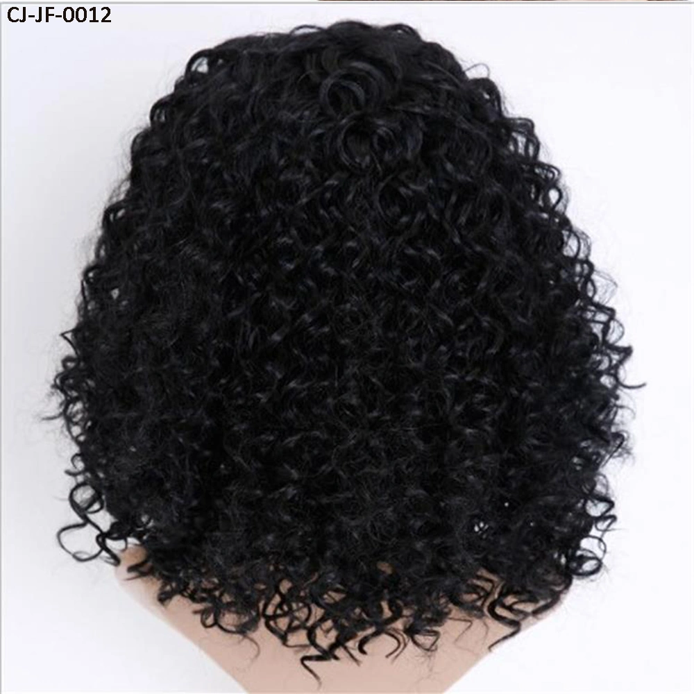 Fancy New Short Curly Hair Chemical Fiber High Temperature Silk Small Roll Afro Wig Cover Human Hair Full Lace Wigs for Women