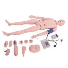 DARHMMY Full Function Nursing Manikin with Blood Pressure Simulator and Trauma Model