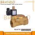 0955605 1-1/4 &#39;&#39; Normalde Açık Solenoid Valf 24VDC 220VAC