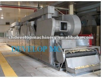 DW vegetable Web Belt Drier