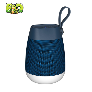 Portable Wireless Hi-Fi Speaker System