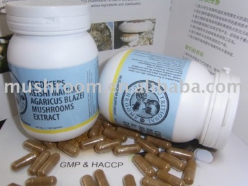 mushroom product,mushroom supplements,mushroom finished product