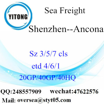 Shenzhen Port Sea Freight Shipping To Ancona