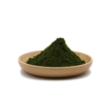 Chlorella pulver økologisk kilde