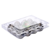 12 Cell Plastic Recyclable Quail Egg Tray Price
