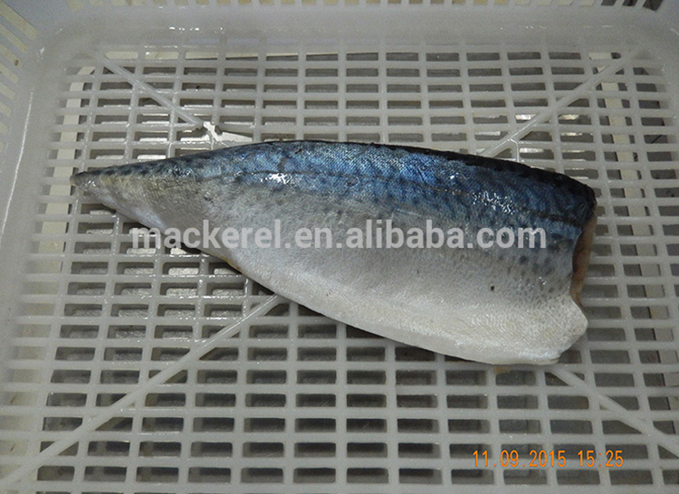 Mackerel Fillets Prezzo Pacifico doppio filetto Fresh Catch in Casella nave da cibo Sea Frage Fish SCOMBR SCOMBRO TIPI DI