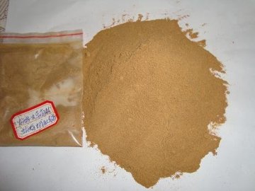 China Cordyceps Extract Powder