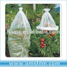 PE film cover sleeves for tomato protection