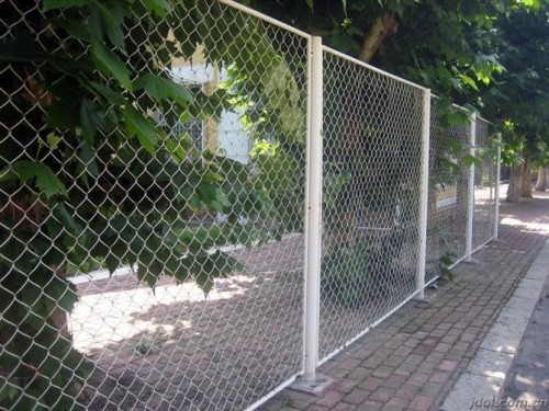 Inexpensive φράχτη συνδέσμου αλυσίδας προϊόντων
