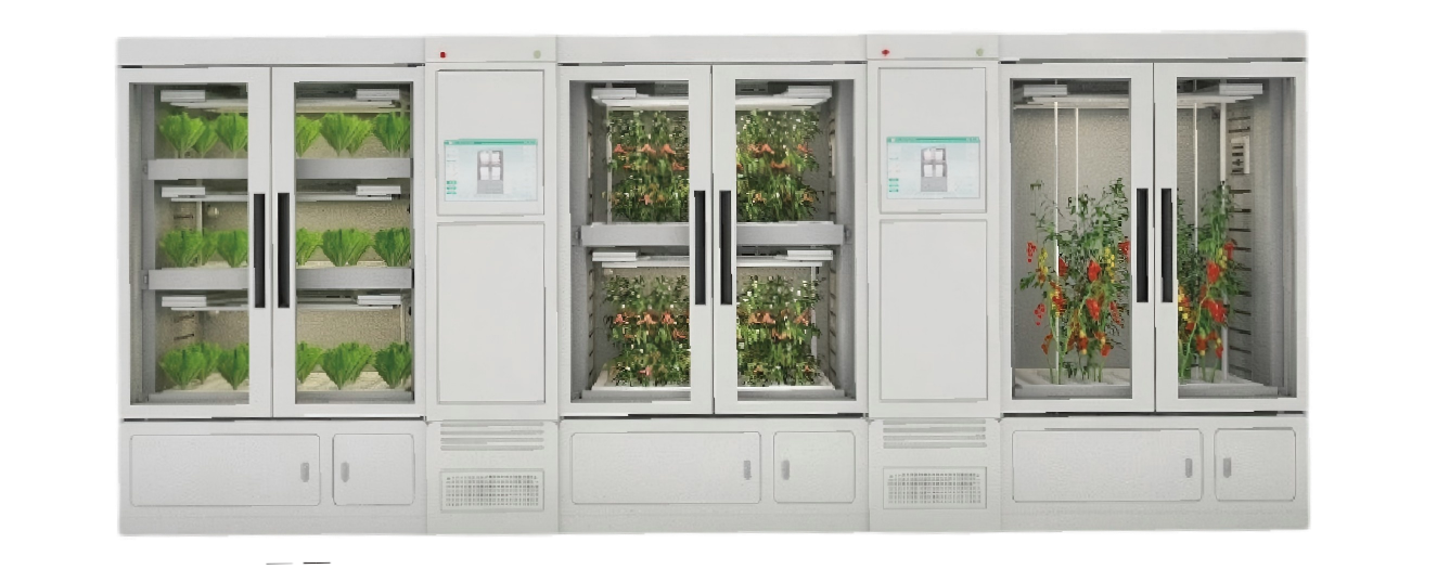 خزانة أبحاث الثقافة البيولوجية YD18GBP-B01-AK