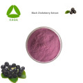 Reines schwarzes Chokeberry -Gefrier getrocknet 99% Bio -Pulver