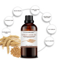 wholesale bulk natural Wheat Germ carrier Oil Face Massage