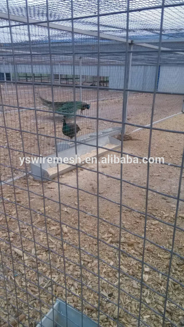 Animal security fence/animal wire mesh fence/ zoo mesh fence