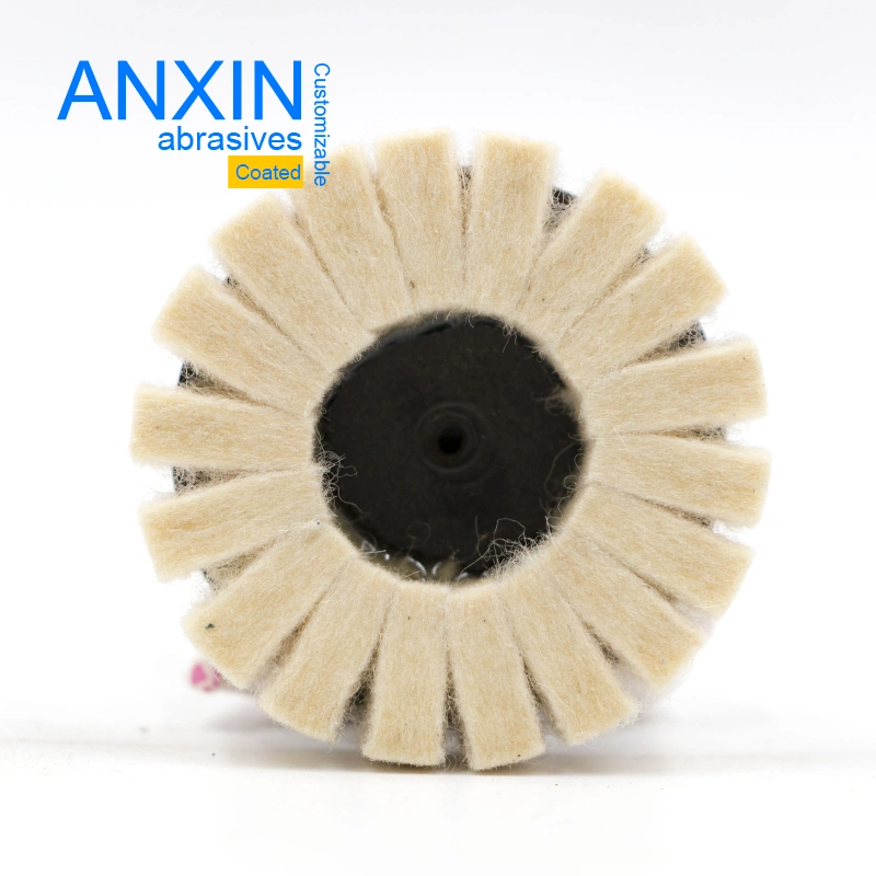 Wool Felt Ring Type or Flap Type Disc for Polishing Ss Inox