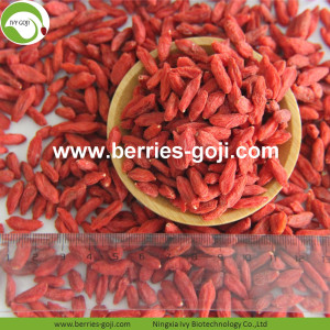 Mới thu hoạch Bán chạy nhất khô Himalayan Goji Berries