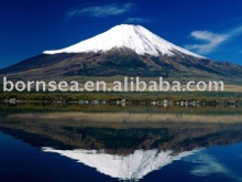 Digital photo prints