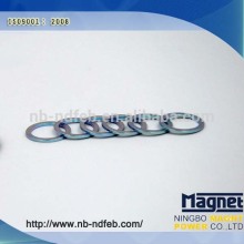 Small Permanent Ring Shape NdFeB Magnet