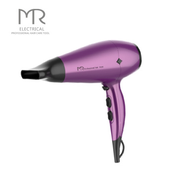 Professional Use AC Motor 2200W Hair Dryer