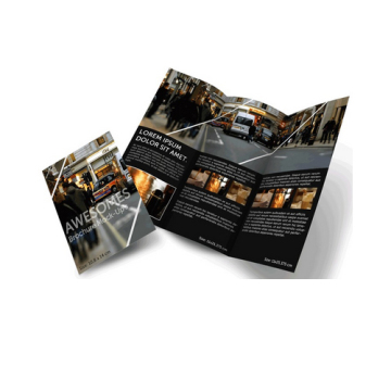 Custom High Quality Fancy Folding Leaflet