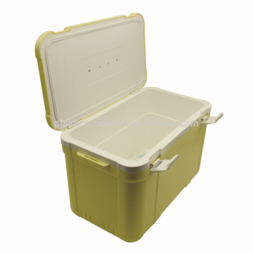 Mini ice cooler box