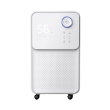 Portable 12L/day Dehumidifiers for Home Use - Affordable Solutions