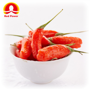 Red Power QIZITO organic wolfberry shanxi jinhua chinese wolfberry el wolfberry chino