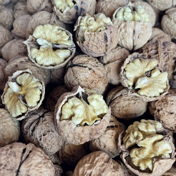 Washed Organic Walnut Fruit