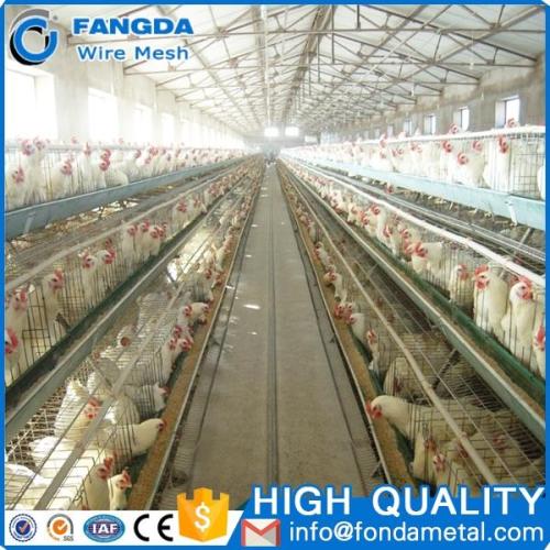 chicken egg poultry farm wholesale bird cages automatic chicken layer cage for Philippines