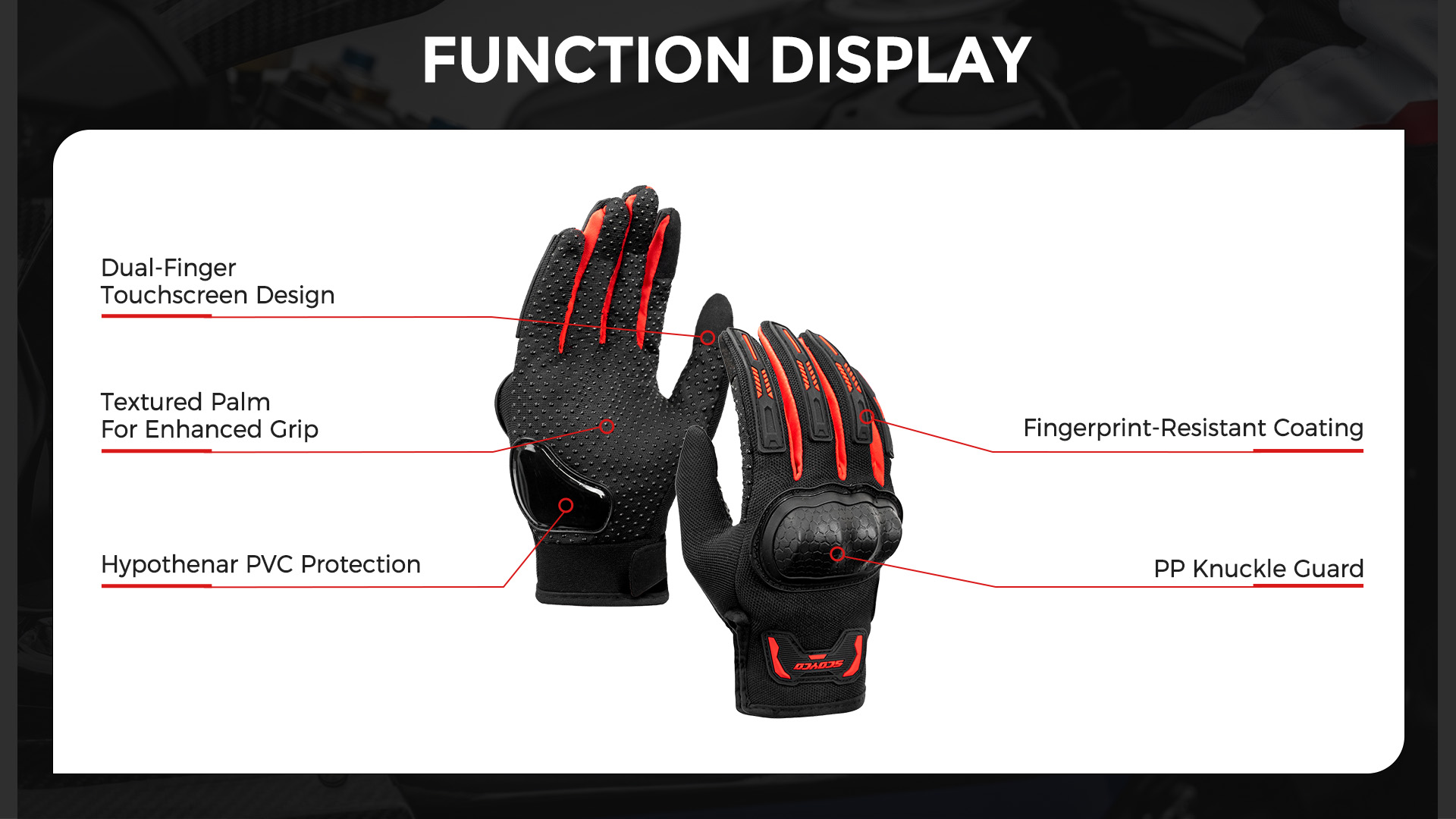 MC241_02_característica MC241_02_feature
