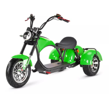 Electric Scooter, Trike, and Motorcycle Export: 2000W, 60V, 40Ah Three-Wheel Electric Vehicles