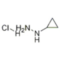 chlorhydrate de cyclopropylhydrazine CAS 213764-25-1