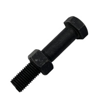 High Quality Custom Black Finish 8.8 Steel Structural Bolt