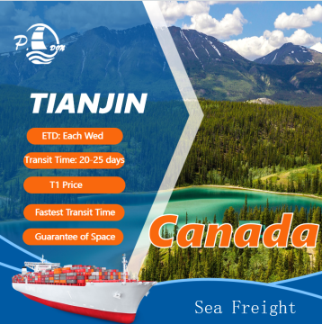 Sea Freight from Tianjin to Canada