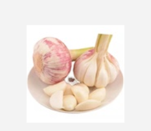 Exporter of Garlic Clove in Brine Pickled Garlic